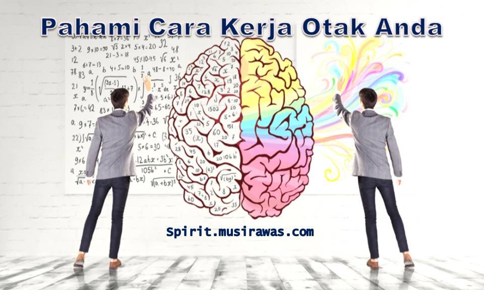 Pahami Cara Kerja Otak Anda - Spirit Musi Rawas